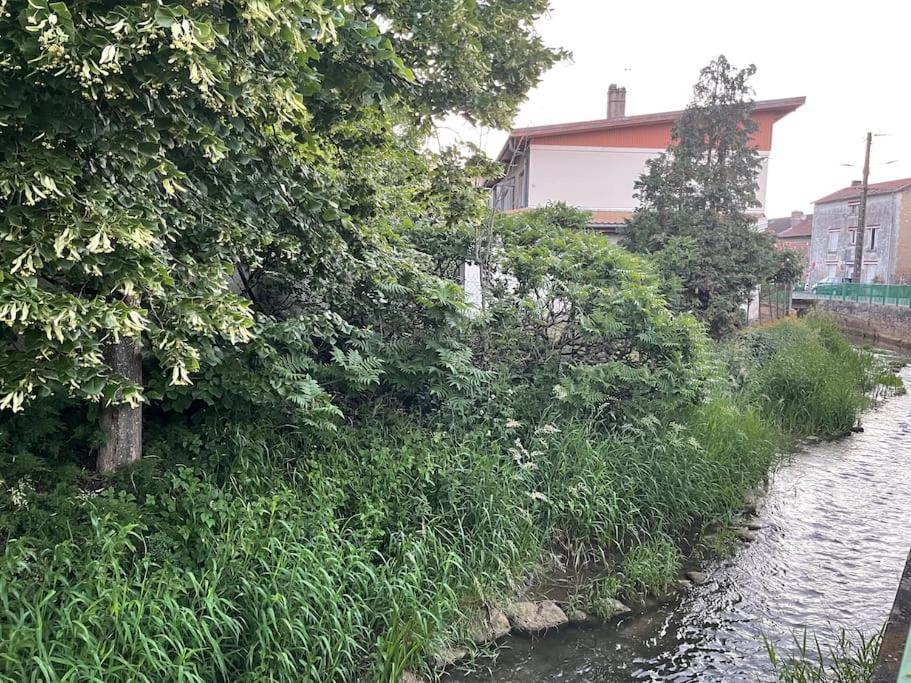 Appartement Dans Maison Avec Cour Et Parc Fresnes-en-Woevre Kültér fotó