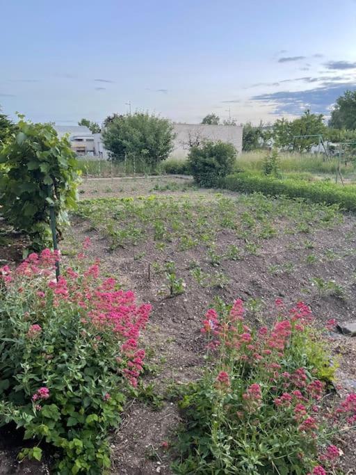 Appartement Dans Maison Avec Cour Et Parc Fresnes-en-Woevre Kültér fotó